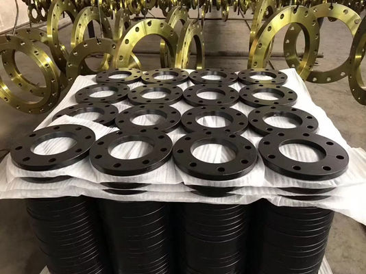 ANSI B16.5 Stainless Steel 304 316 304L 316L Welding Neck Flange A105 Black Paint